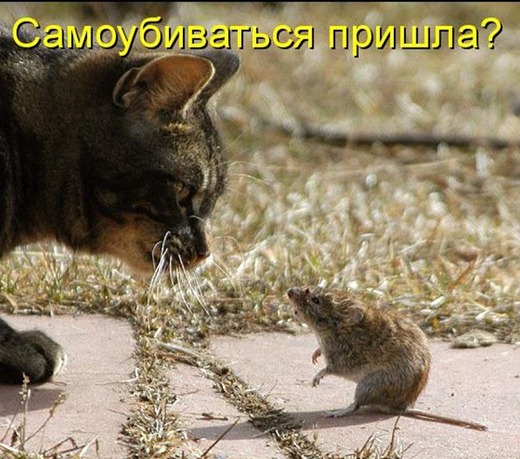 [kotomatrix_125%255B4%255D.jpg]