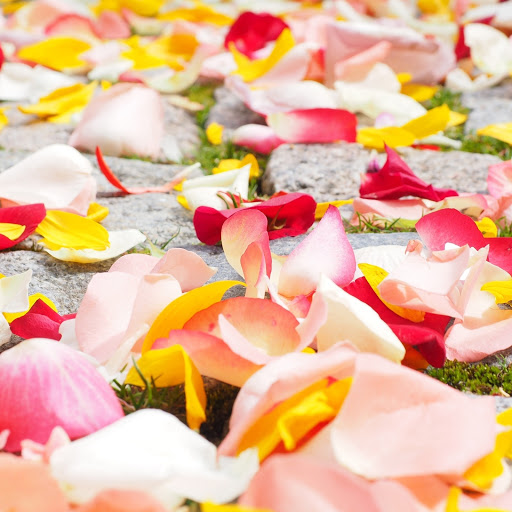 Hd-185226-ascw185226