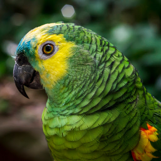 Hd-170937-ascw170937