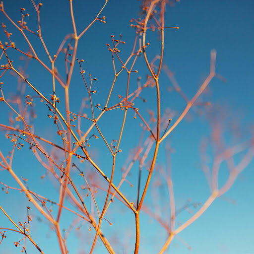 Hd-161226-ascw161226