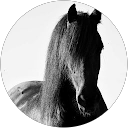 Image Google de Hiona Izaro