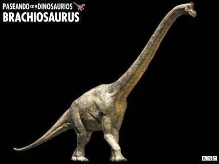 [Brachiosaurus%2520PCD%255B6%255D.jpg]