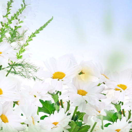 Hd-180507-ascw180507