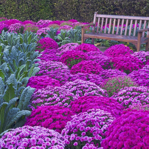 Hd-148770-ascw148770