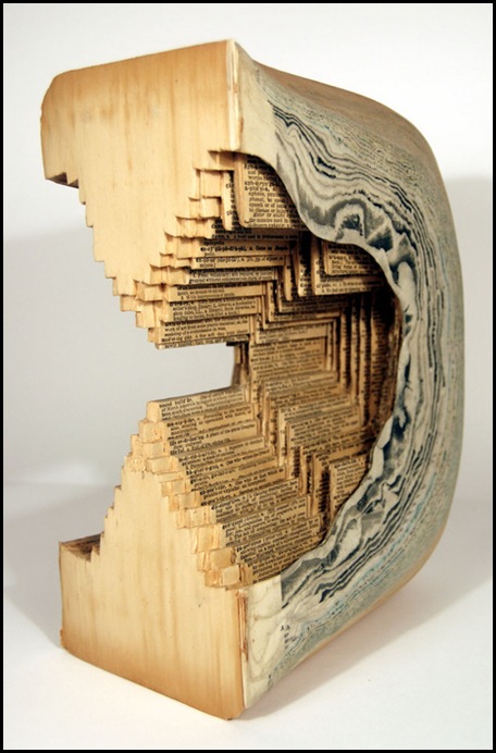 Brian Dettmer sculpteur de livres (33)