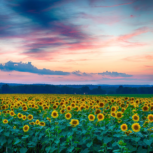 Hd-178718-ascw178718