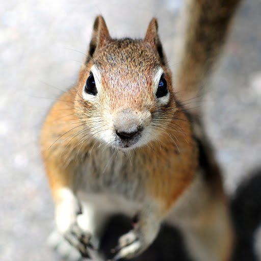 Hd-133693-ascw133693