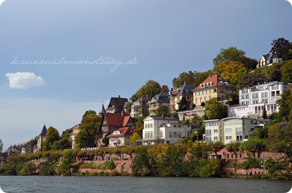 Heidelberg (6)