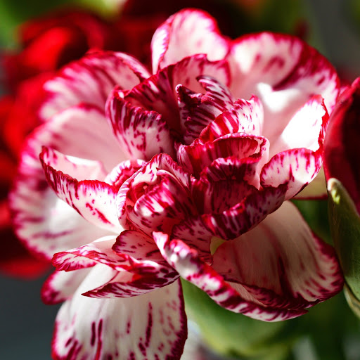 Hd-166970-ascw166970