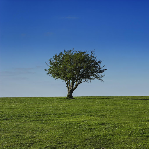 Hd-131481-ascw131481