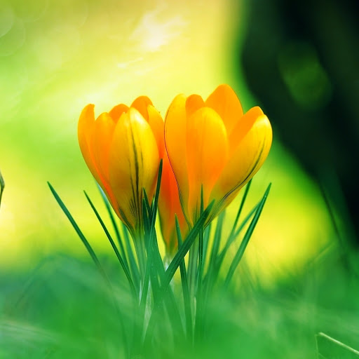 Hd-142730-ascw142730