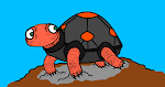 11. Give the Turtle a Shell