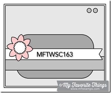 MFTWSC163