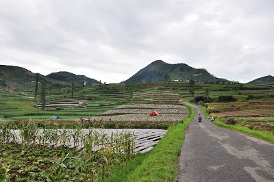 DSC_0828.jpg