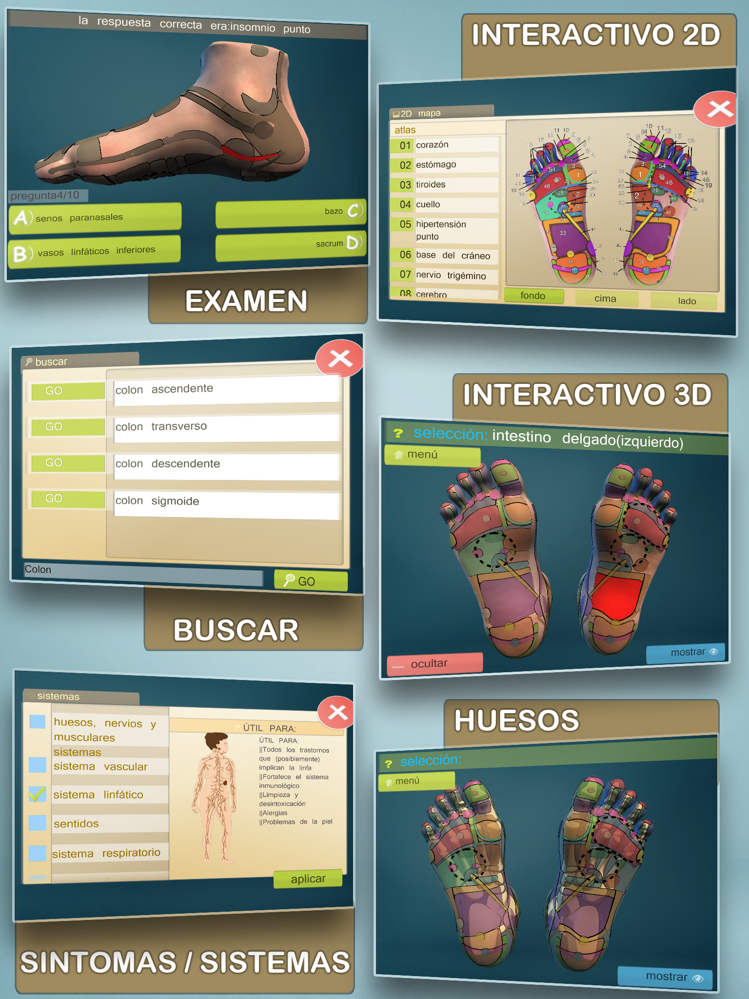 Android application Total Reflexology 3D screenshort