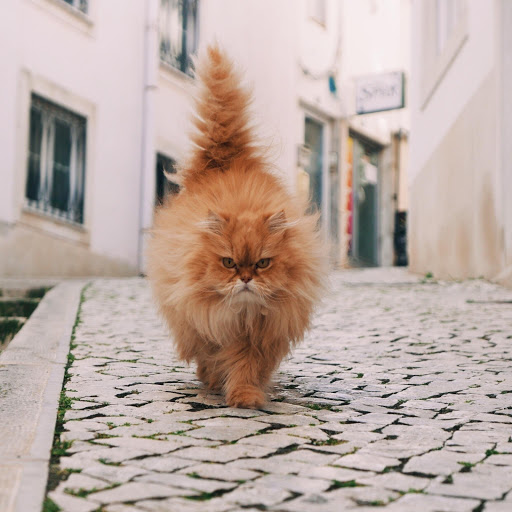 Hd-149725-ascw149725