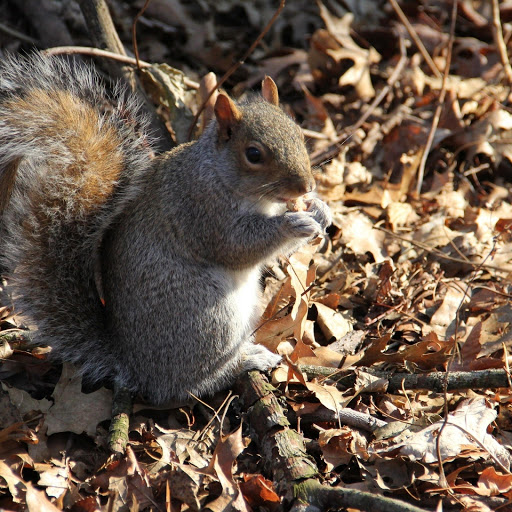 Hd-156849-ascw156849