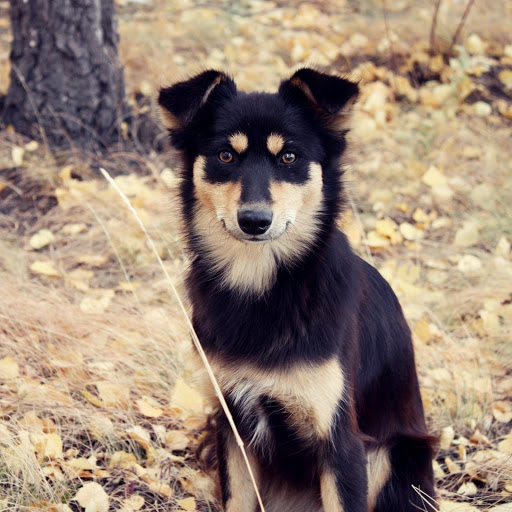 Hd-171314-ascw171314