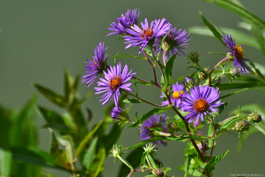 [DSC_0007%255B5%255D.jpg]