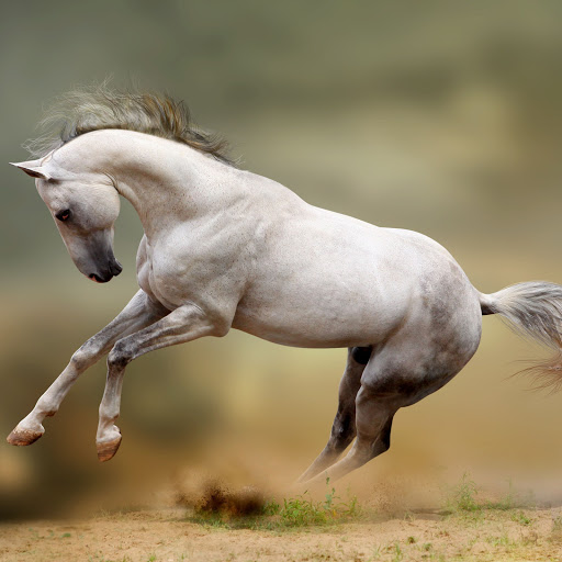 Hd-159592-ascw159592