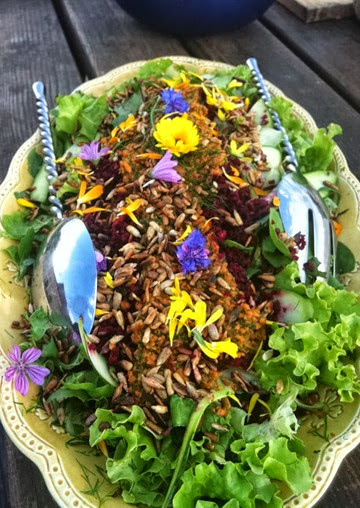 Bietensalade Brénazet Bietensalade Brénazet