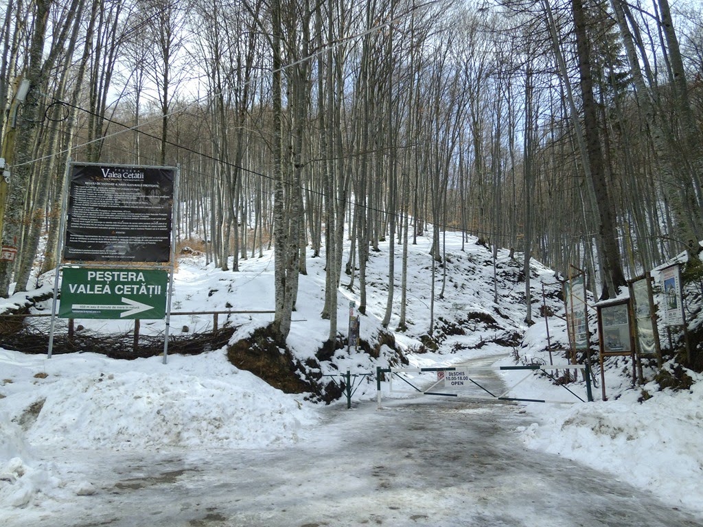 [P10004113.jpg]