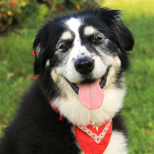 Hd-148690-ascw148690