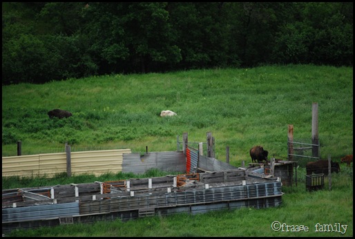 DSC_0167 DSC_0167
