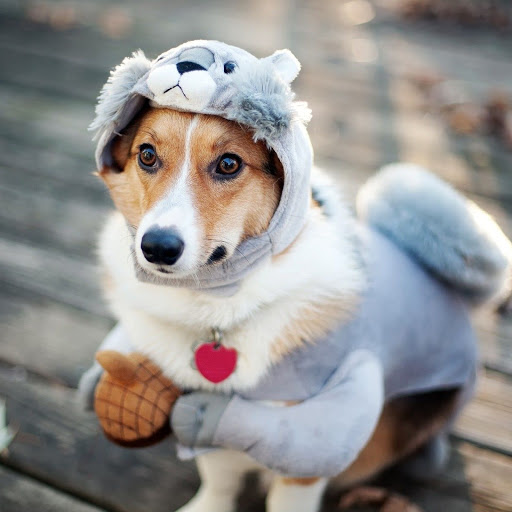 Hd-149503-ascw149503