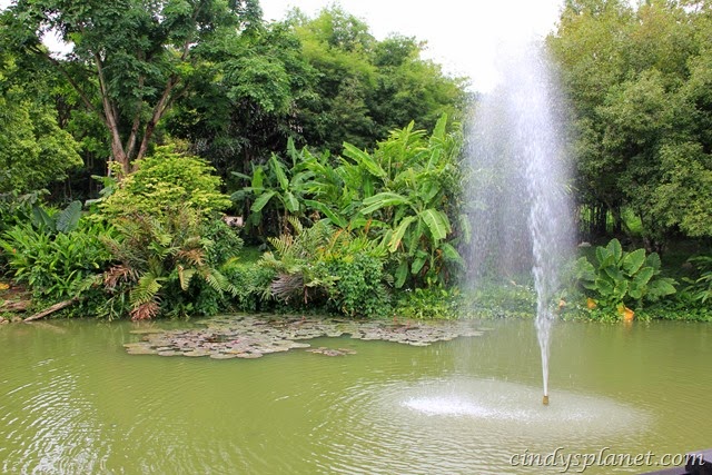 [chok%2520chai%2520farm%2520camp%2520%252816%2529%255B2%255D.jpg.webp]