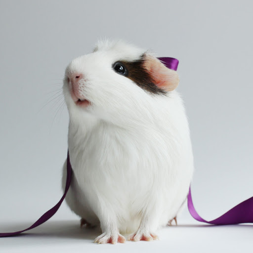 Hd-166632-ascw166632