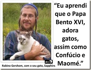 papa_ama_gatos (19)