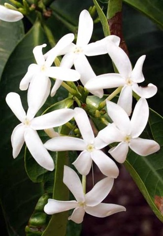 [image%255B3%255D.png]