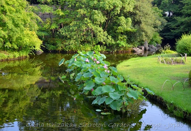 79 - Glória Ishizaka - Shirotori Garden