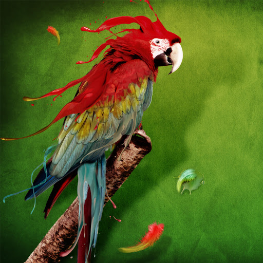 Hd-182220-ascw182220