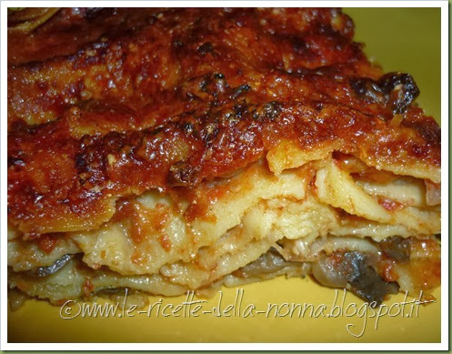 Lasagne vegetariane senza glutine con funghi e mozzarella (15)
