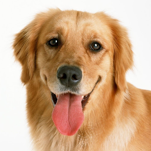 Hd-159447-ascw159447