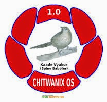 chitwanix logo