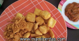  Resep  Ayam  Goreng  Kremes  Mudah Spa Spa r