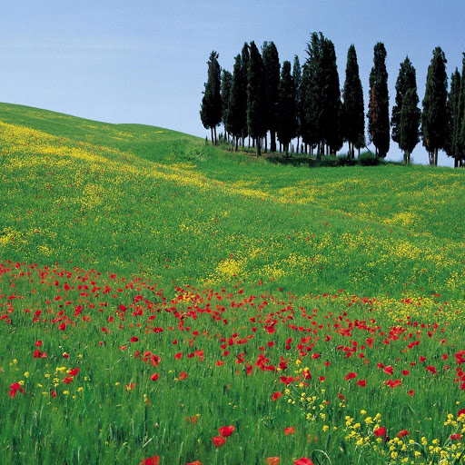 Hd-142339-ascw142339