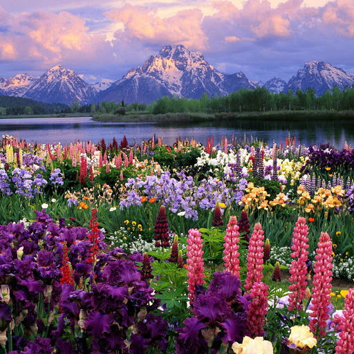 Hd-173349-ascw173349