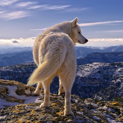 Hd-133728-ascw133728