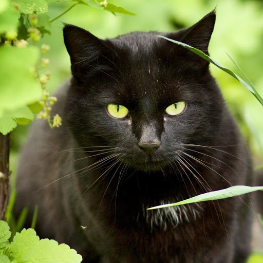 Hd-178385-ascw178385