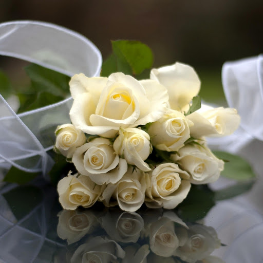 Hd-161885-ascw161885