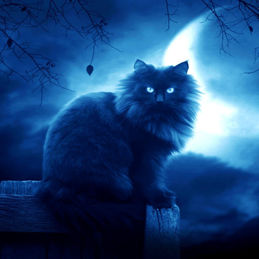 Hd-153520-ascw153520