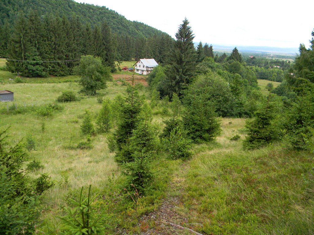 [DSCN68153.jpg]