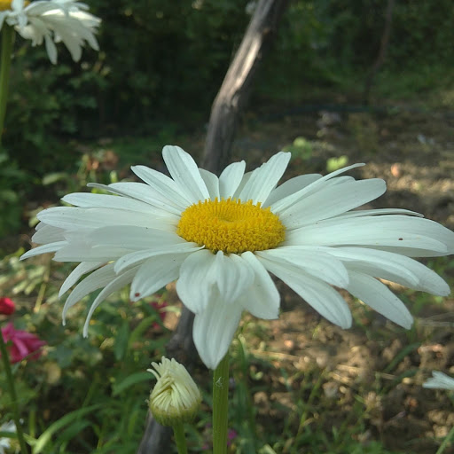 Hd-168840-ascw168840