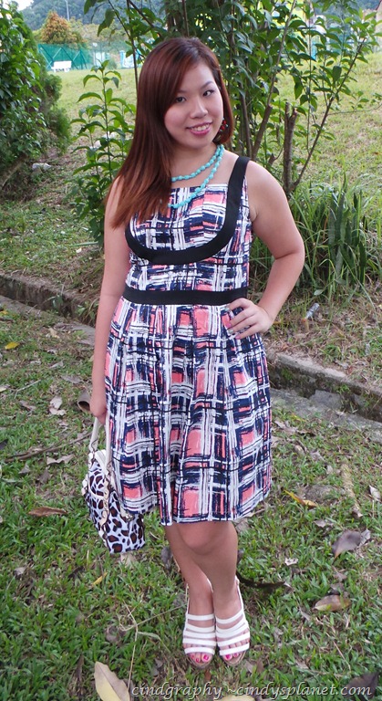 [20130210_1902449.jpg.webp]