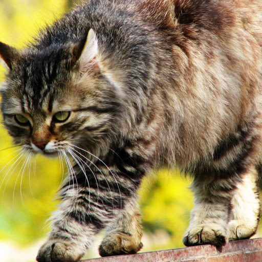 Hd-148576-ascw148576