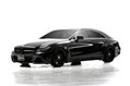 Wald-International-Mercedes-CLS-2012-AMG-1